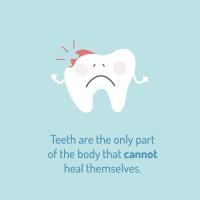 Are You Looking For Pediatric Dentistry In Tampa ? image 29