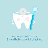 Are You Looking For Pediatric Dentistry In Tampa ? image 32