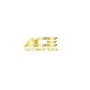 Ace Tax Services,Inc. logo