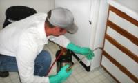 Pest control plainfield NJ image 1