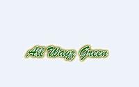 All Wayz Green image 1