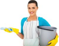Yailen Cleaning Services image 1
