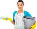 Yailen Cleaning Services logo