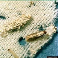 Yale Termite & Pest Elimination Corp. image 2