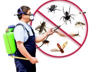 Yale Termite & Pest Elimination Corp. image 13