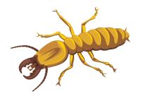 Yale Termite & Pest Elimination Corp. image 16