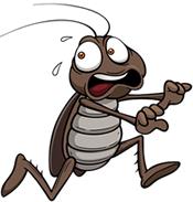 Yale Termite & Pest Elimination Corp. image 20