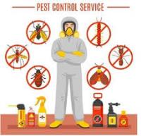 Yale Termite & Pest Elimination Corp. image 22