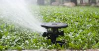Affordable Irrigation Repair & Service LLC image 1