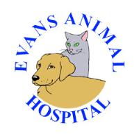 Evans Animal Hospital image 3