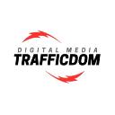 TrafficDom logo