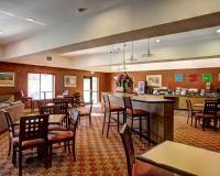 Comfort Suites - Hotel in Copperas Cove, TX image 3