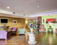 Comfort Suites - Hotel in Copperas Cove, TX image 8