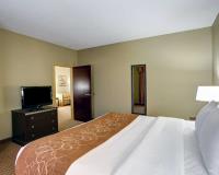 Comfort Suites - Hotel in Copperas Cove, TX image 10