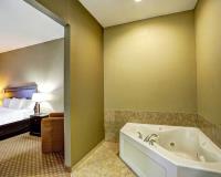 Comfort Suites - Hotel in Copperas Cove, TX image 12