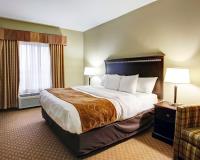 Comfort Suites - Hotel in Copperas Cove, TX image 11