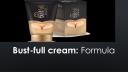 Bust Full cream logo