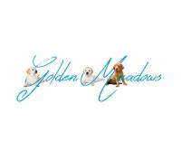 Golden Meadows Kennel image 1