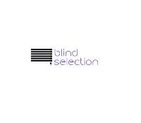 Blind Selection image 1