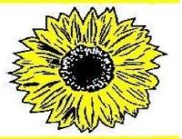 Sunflower State Exteriors LLC image 1