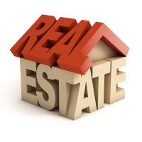 Real Estate Serv image 1