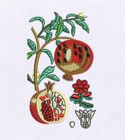 Foods Embroidery Designs image 3