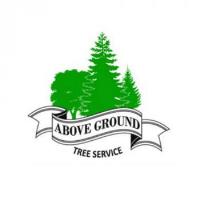 Above Ground Tree and Landscape LLC image 1