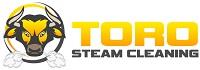 Toro Steam Cleaning image 1