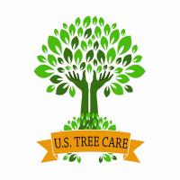 US Tree Care image 1