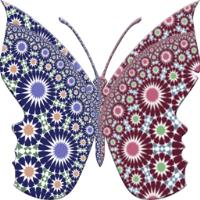 Muslim matrimonial image 1