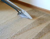 Carpet Cleaning-Fort Worth image 3