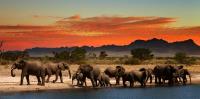 Best Safaris image 5