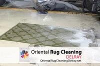 Oriental Rug Cleaning Service Delray Pros image 3