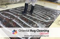 Oriental Rug Cleaning Service Delray Pros image 2
