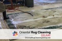 Oriental Rug Cleaning Service Delray Pros image 5