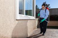 Pest Control - York Exterminating image 2