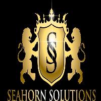 Seahorn Solutions, Inc image 1