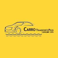 Carro Transporte Pros image 1