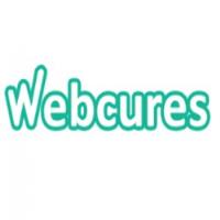 Web Cures | SEO Services Provider Company image 1