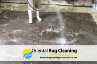 Oriental Rug Cleaning Fort Lauderdale image 3