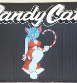 Candy Cat Too! image 2