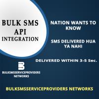 Bulk SMS Service Providers Networks image 3