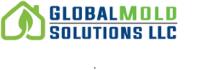 Global Mold Solutions image 1