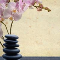 Shiatsu & Therapeutic Massage image 1