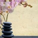 Shiatsu & Therapeutic Massage logo