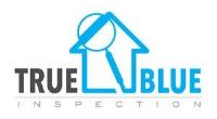 True Blue Inspection image 1