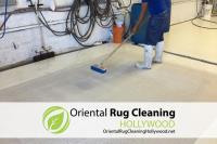 Oriental Rug Cleaning Hollywood image 2