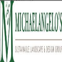Michaelangelo's Landscape image 1