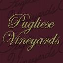 Pugliese Vineyards Inc. logo