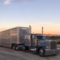 Jason Montgomery Trucking, LLC image 4